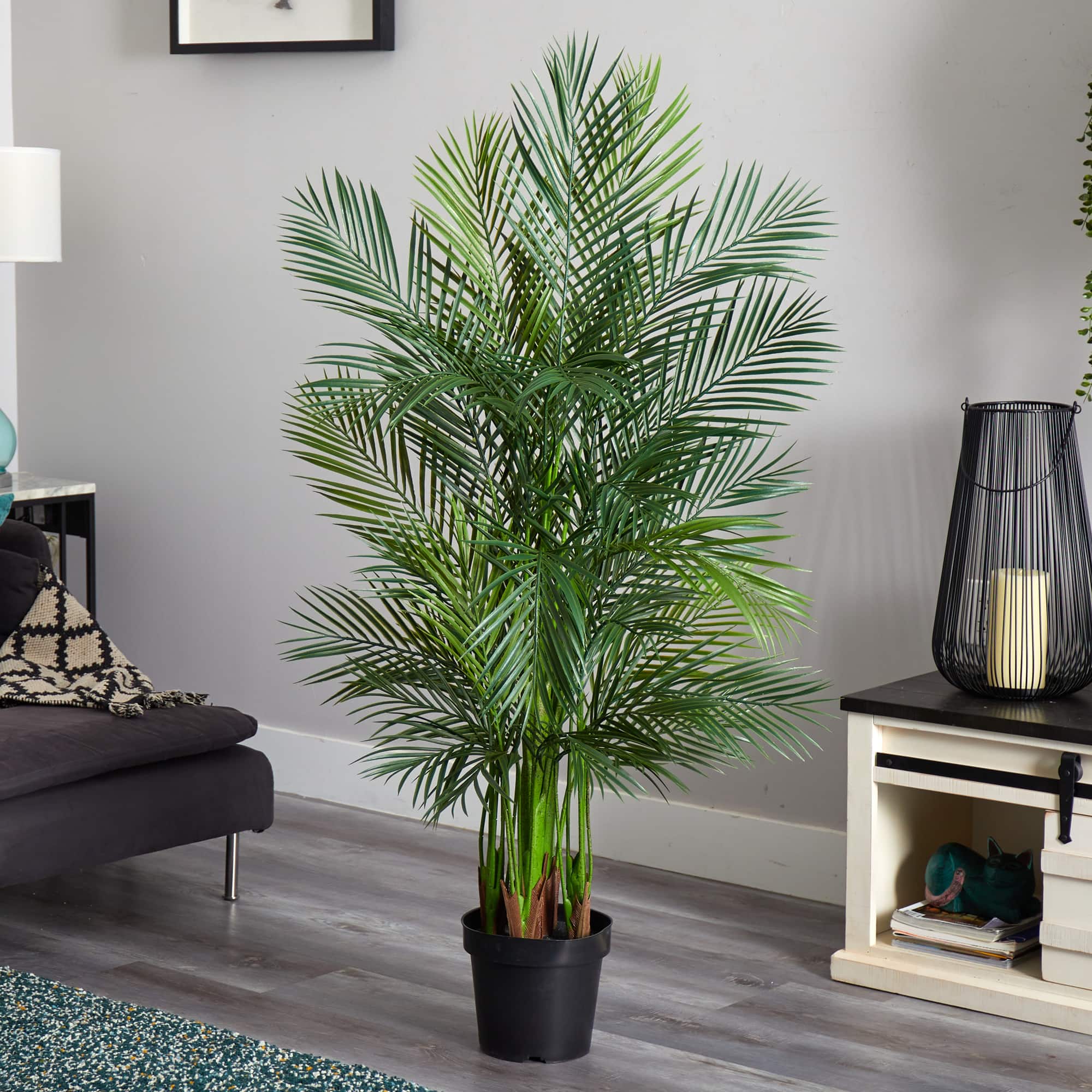 5.5ft. Potted Areca Palm Tree